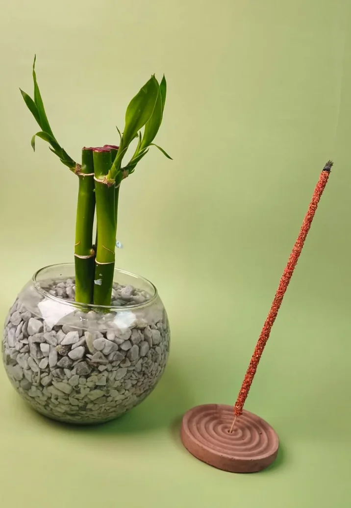 WhatsApp Image 2025-07-30 at 10.45.20 PM (3)